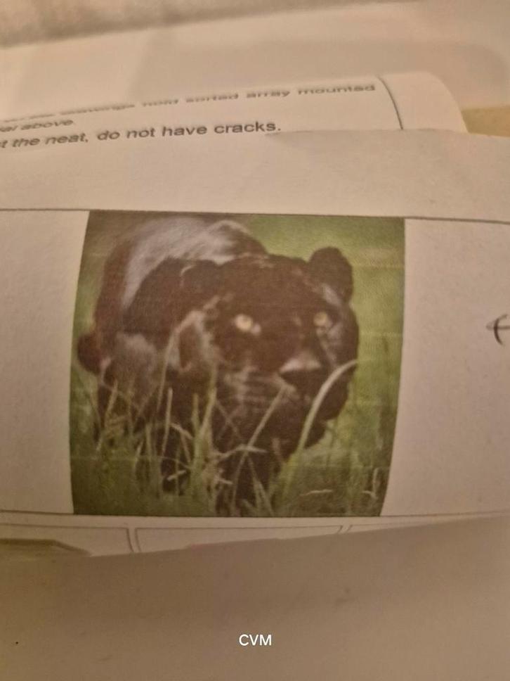 Diamond painting: zwarte panter ***nieuw***, Hobby en Vrije tijd, Overige Hobby en Vrije tijd, Zo goed als nieuw, Ophalen of Verzenden