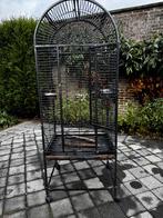 Papegaaien/vogel kooi, Dieren en Toebehoren, Vogels | Hokken en Kooien, Ophalen, Gebruikt, Metaal, Vogelkooi