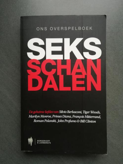 Seksschandalen - Borgerhoff & Lamberigts, Boeken, Politiek en Maatschappij, Zo goed als nieuw, Maatschappij en Samenleving, Ophalen of Verzenden