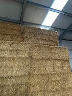 Grote pakken Tarwe stro, Zakelijke goederen, Landbouw | Veevoer, Ophalen