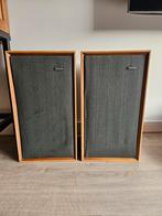Nette Goodmans Minister speakerset, Overige merken, Ophalen of Verzenden, Zo goed als nieuw, Minder dan 60 watt