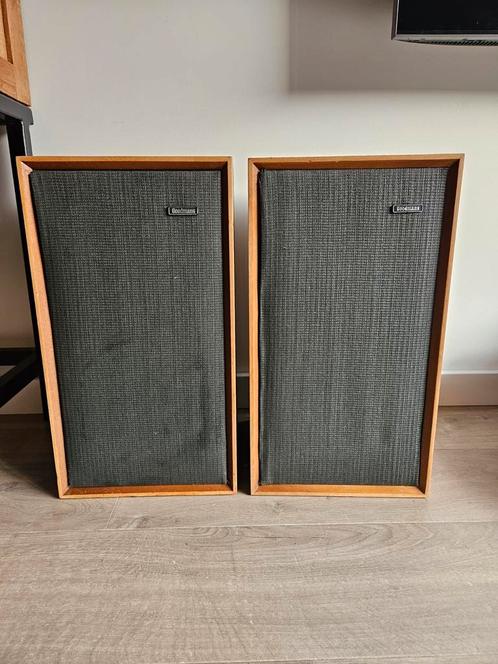 Nette Goodmans Minister speakerset, Audio, Tv en Foto, Luidsprekerboxen, Zo goed als nieuw, Front, Rear of Stereo speakers, Minder dan 60 watt
