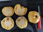 5 graines de tomates blanches Coeur de Boeuf Blanc - bio, Envoi, Printemps, Plein soleil, Graine