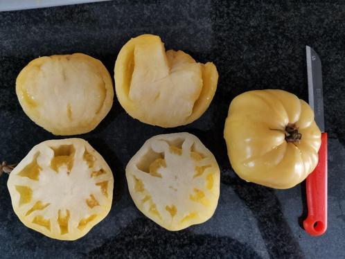 5 zaden witte tomaat Coeur de Boeuf Blanc - bio, Tuin en Terras, Bloembollen en Zaden, Zaad, Voorjaar, Volle zon, Verzenden