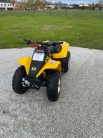 Suzuki lt80 qaud, Motoren