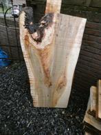 schaaldelen boomplanken tafelbladen salontafel wandplank was, Nieuw, 250 tot 300 cm, Ophalen, Overige houtsoorten