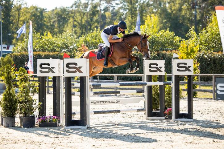 Ruiter gezocht, Dieren en Toebehoren, Paarden en Pony's | Overige Paardenspullen, Ophalen