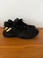 Adidas hardbasket, maat 43,5, Sport en Fitness, Ophalen