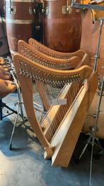 Beginnersharp huren aan € 20 per maand, Muziek en Instrumenten, Snaarinstrumenten | Harpen, Ophalen, Nieuw