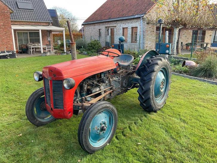 1954 Massey Ferguson TE20 Oldtimer tractor, Zakelijke goederen, Landbouw | Tractoren, Massey Ferguson, Oldtimer