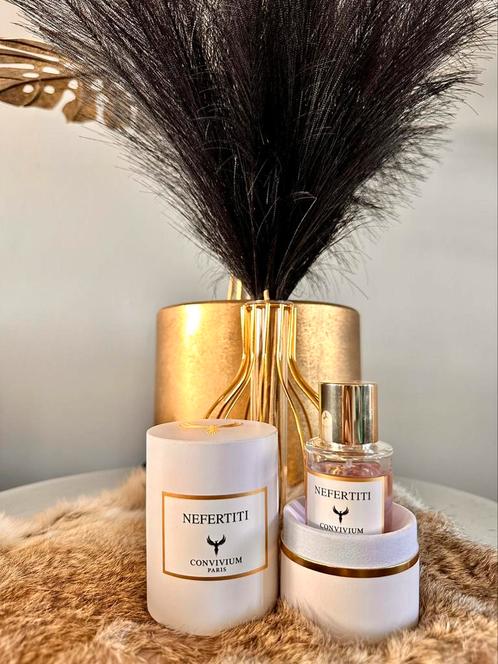 Nefertiti Convivium Paris, Handtassen en Accessoires, Uiterlijk | Parfum, Nieuw, Ophalen of Verzenden