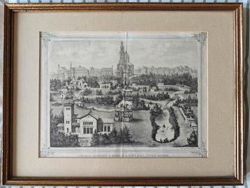 Zéér mooie litho van de Gentse Zoo beschikbaar voor biedingen