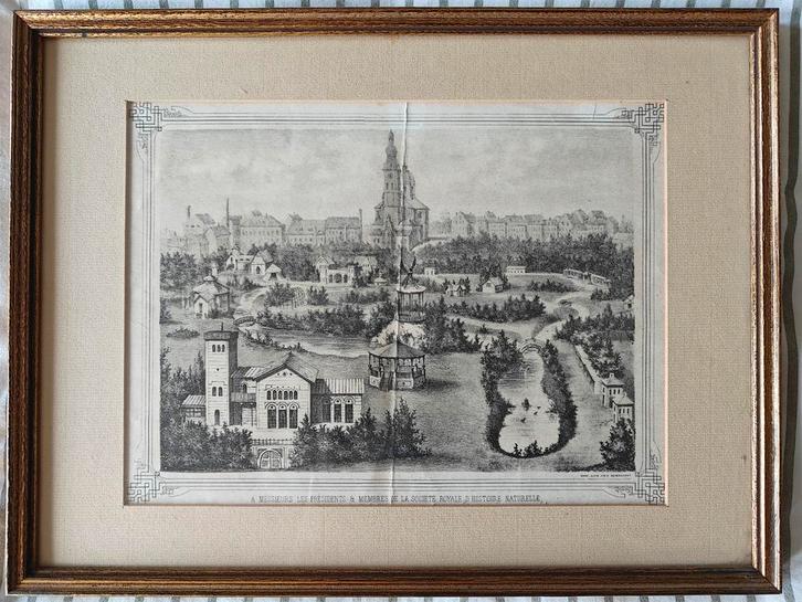 Zéér mooie litho van de Gentse Zoo, Antiek en Kunst, Kunst | Litho's en Zeefdrukken, Ophalen of Verzenden
