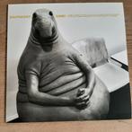 Vinyl, LP, Balthazar, limited edition, yellow, belpop, Cd's en Dvd's, Vinyl | Pop, Ophalen of Verzenden, Zo goed als nieuw
