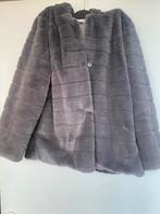 Veste fausse fourrure grise, Vêtements | Femmes, Vestes | Hiver, Enlèvement, Comme neuf