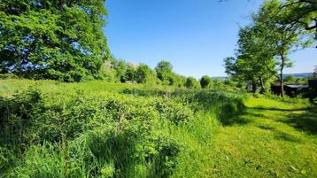 Terrain à vendre à Vielsalm beschikbaar voor biedingen