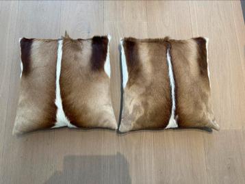 Set van 2 sierkussens springbok  beschikbaar voor biedingen