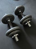 Halterset 2X10kg, Sport en Fitness, Ophalen, Gebruikt, Halterset