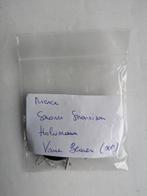 Mierce miniatures – Hrafnen Crew – Snorri Snorrisonn - 28mm, Ophalen of Verzenden, Nieuw, Overige soorten, Figuurtje(s)