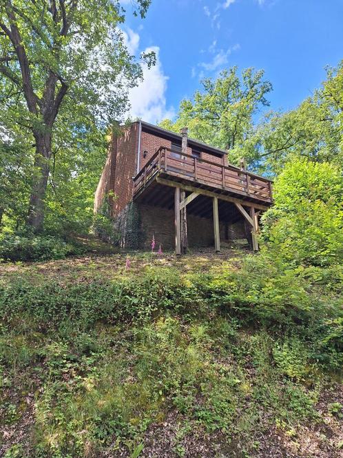 Alleenstaand gemeubeld vakantiehuisje Blaimont, Vacances, Maisons de vacances | Belgique, Hainaut ou Namur, Bois/Forêt, 2 chambres