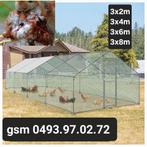 kippenrennen in verschillende maten incl draad en dakje, Neuf, Froggysgardenx@gmail.com, Eikenstraat 50 Beringen 3580, Enlèvement