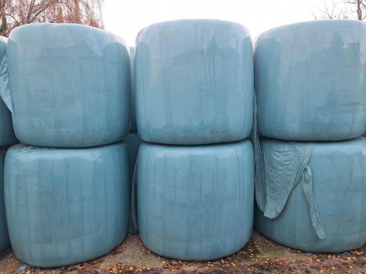 Voordroog hooi, Dieren en Toebehoren, Dierenvoeding, Vee, Ophalen