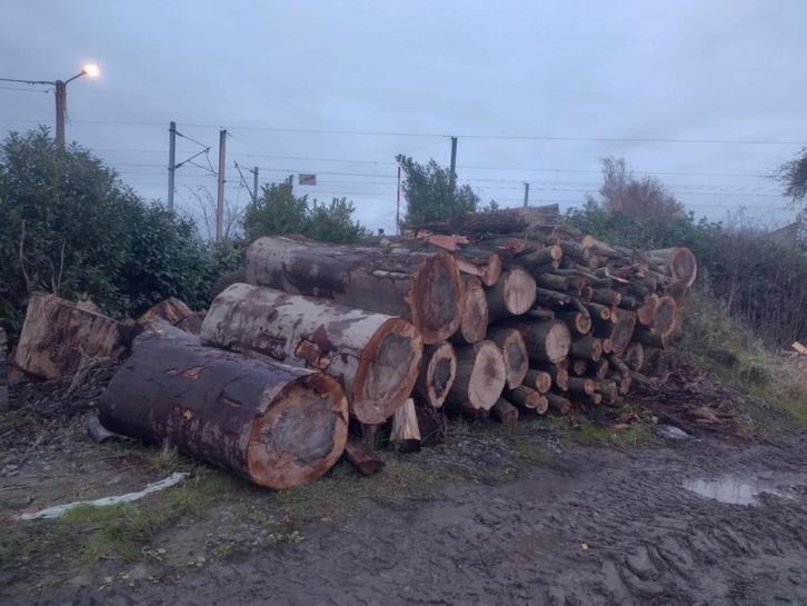 bois de chauffage, Doe-het-zelf en Bouw, Verwarming en Radiatoren, Ophalen