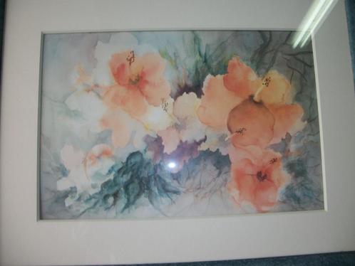 AQUARELLEN, Antiek en Kunst, Kunst | Schilderijen | Klassiek, Ophalen