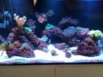 zeeaquarium aqua medic 375 xd, Ophalen, Zo goed als nieuw, Gevuld zeewateraquarium