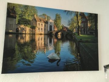 Canvas Brugge 