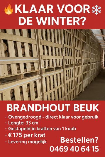 Brandhout beuk beschikbaar voor biedingen