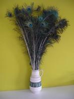 Mooi en groot lot ( + 50 ) pauwenveren, Enlèvement, Utilisé