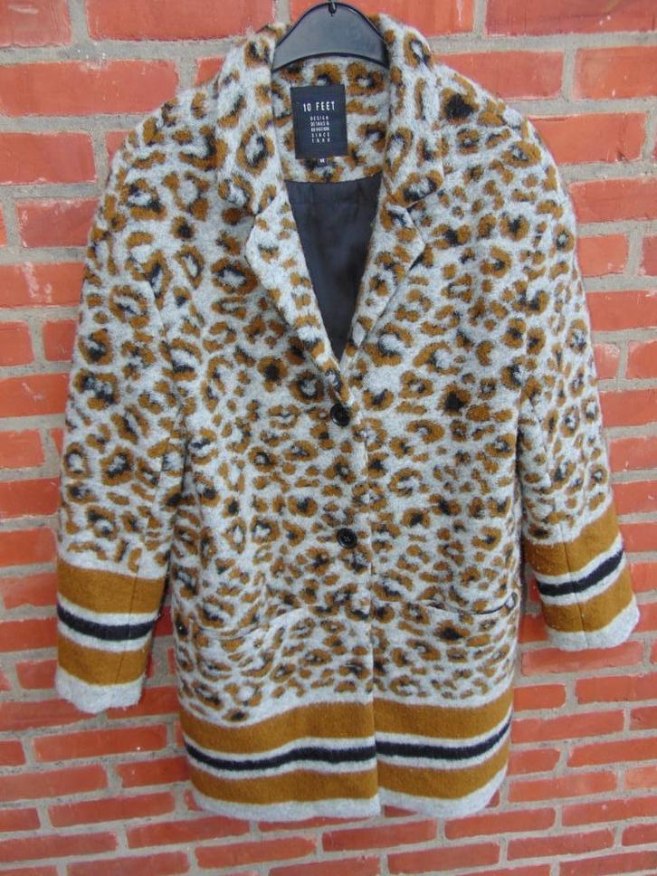 Jas met wol in nette staat, Kleding | Dames, Jassen | Winter, Gedragen, Maat 38/40 (M), Ophalen of Verzenden