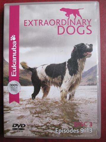 Extraordinary dogs Afl. 9-13 beschikbaar voor biedingen