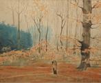 Madeleine Droesbeke Cocq (1889-?): Boszicht Boisfort 1937, Antiek en Kunst, Ophalen of Verzenden