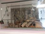 Ingerichte terrarium, Animaux & Accessoires, Reptiles & Amphibiens | Accessoires, Enlèvement