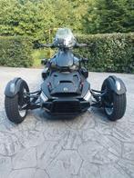 Can-Am Ryker Rally, Motoren, 900 cc, Meer dan 35 kW
