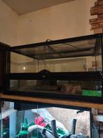 Exo Terra 60x45x30, Animaux & Accessoires, Enlèvement, Utilisé, Terrarium ou Paludarium