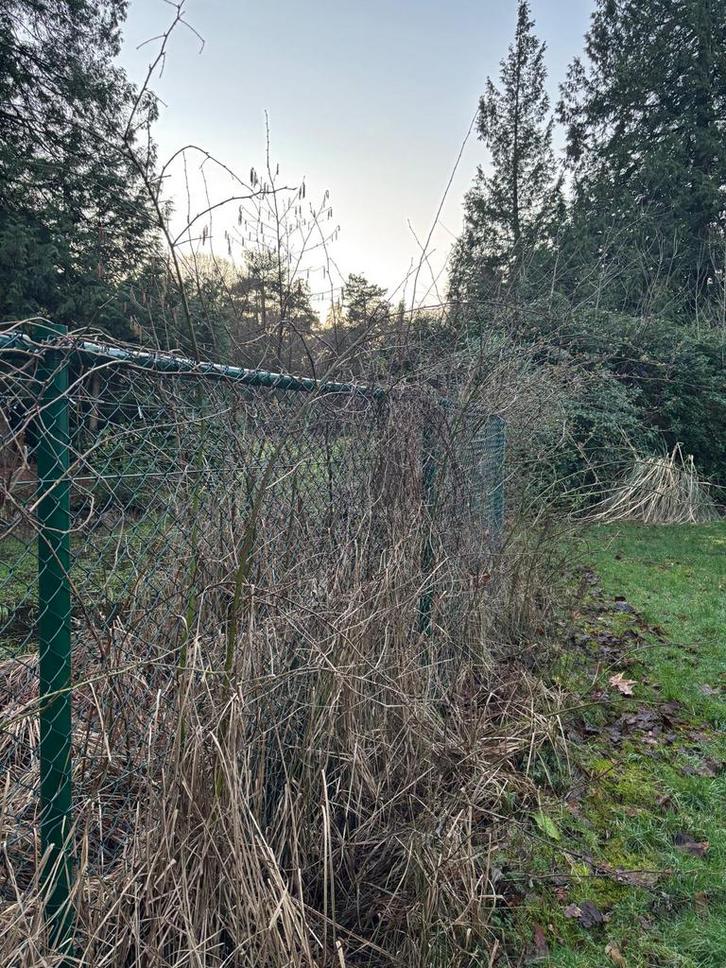 25 m tennisdraad harmonicadraad in prima staat, Tuin en Terras, Tuinhekken en Hekwerk, Zo goed als nieuw, Gaashekwerk, IJzer, Ophalen
