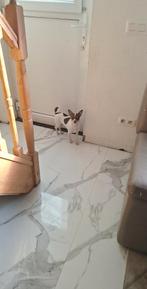 6 mandelijk zij heeft alles gsm nummer is 0467856894, Immo