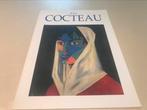 Jean Cocteau dessins peintures Sculptures 45pag, Ophalen of Verzenden, Zo goed als nieuw, Schilder- en Tekenkunst