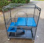 Cage perfect, Dieren en Toebehoren, Knaagdieren en Konijnen | Hokken en Kooien, Ophalen, Zo goed als nieuw, Kooi, Fret
