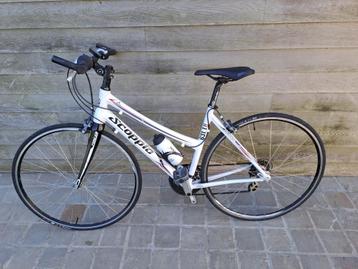 sportfiets dames beschikbaar voor biedingen
