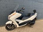 Honda forza 300 2014 8712Km met garantie, Motos, 300 cm³, Scooter, Entreprise, 2 cylindres