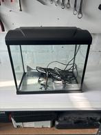 Aquarium, Dieren en Toebehoren, Ophalen