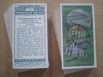 Wonders of the Sea complete set 50 chromos 1928 Wills beschikbaar voor biedingen