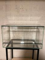 Terrarium verre 70 x 40 x 40cm tres bon etat, Dieren en Toebehoren, Ophalen, Zo goed als nieuw