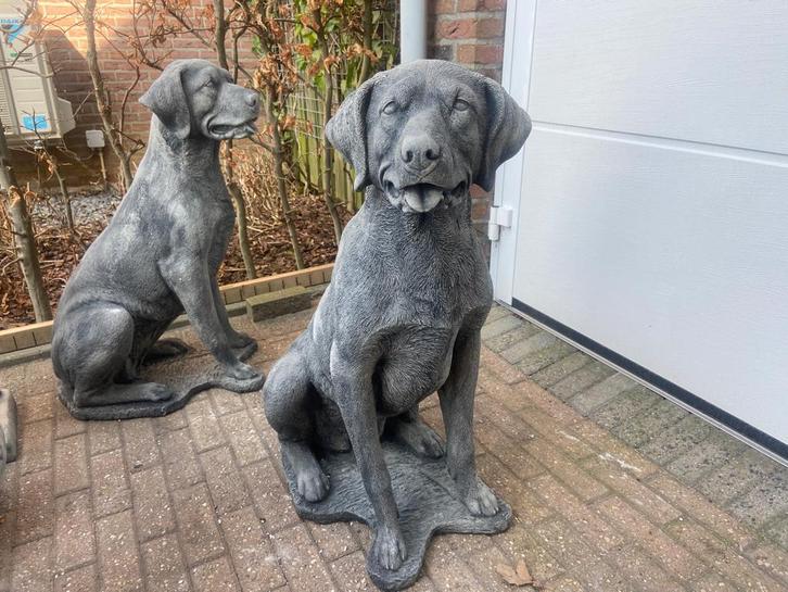 Labrador Retriever, hoogte 85cm, Tuin en Terras, Tuinbeelden, Nieuw, Dierenbeeld, Beton, Ophalen