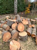 Nageltje klop schijf/blok te koop, (groter dan op de foto), Tuin en Terras, Brandhout, Ophalen, Takken