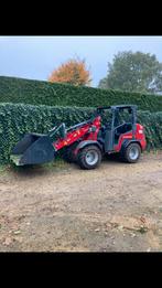 Verwijderen van hagen/struiken/bomen/gazon zaaien/frezen, Tuin en Terras, Ophalen of Verzenden